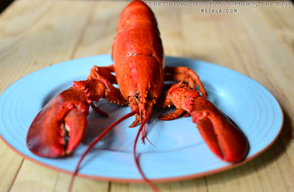 lobsterSquid_2
